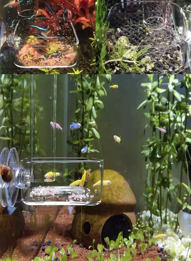 IAFVKAI Aquarium Shrimp Feeder Dish Glass Fish Tank Feeding Bowls, 2pcs Square Glass Food Bowl (60mm), 1pcs Round Fish Feeding Bowls with Suction Cups (60mm) - Image 5